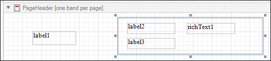 A Panel added to the Report Designer