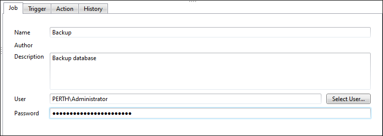 The Job tab on the Job Scheduler form